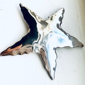 E&L Israel Silver Starfish Pin